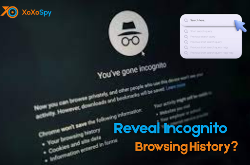 Can Android Spy Apps Reveal Incognito Browsing History? 10 android spy apps reveal incognito browsing history